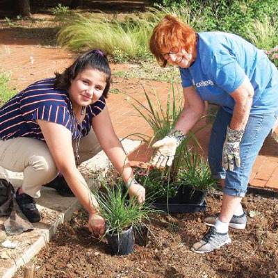 Article Image Alt Text