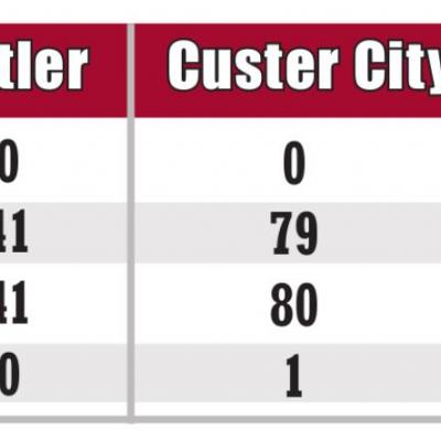 WEEKLY UPDATE ON COVID-19 CASES IN CUSTER COUNTY