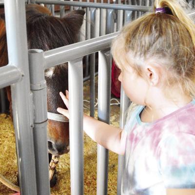 Fun times at the fair