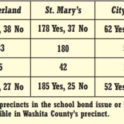 Voters make decisions on three issues