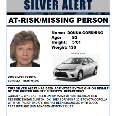 Article Image Alt Text