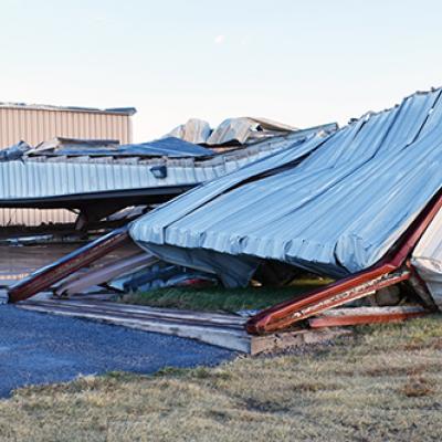 Article Image Alt Text