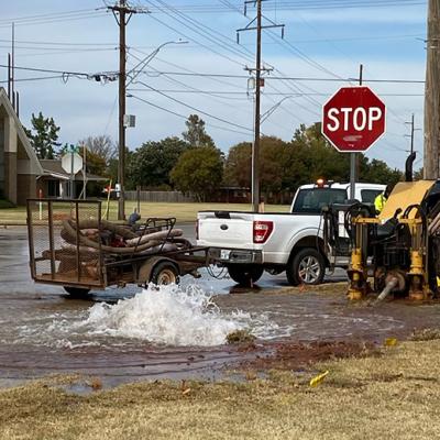 Article Image Alt Text